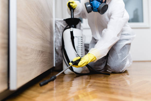 Best Emergency Pest Control  in Brewster Hill, NY