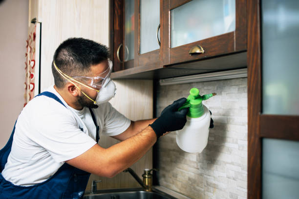 Best Pest Inspection Near Me  in Brewster Hill, NY