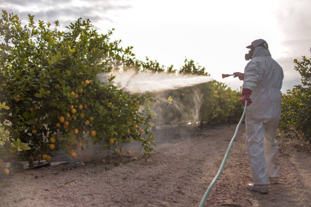 Best Local Pest Control Services  in Brewster Hill, NY