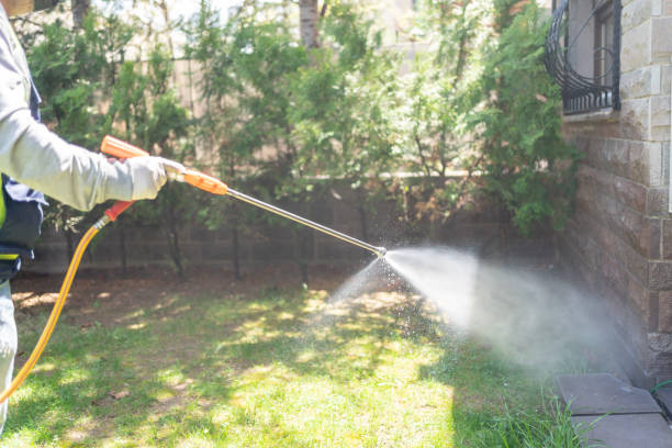 Best Rat Extermination Near Me  in Brewster Hill, NY