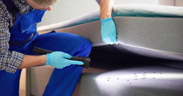 Best Ant Control Services  in Brewster Hill, NY