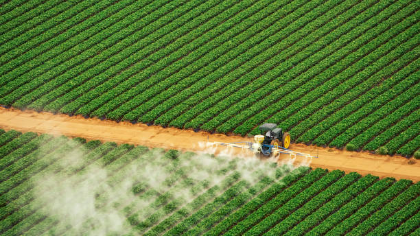 Best Pest Control Cost  in Brewster Hill, NY