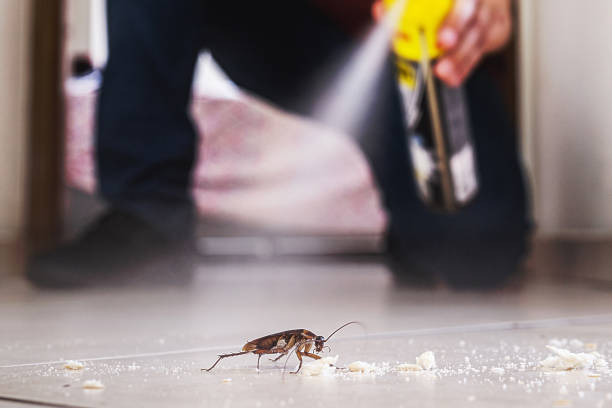 Best Best Pest Control Companies  in Brewster Hill, NY