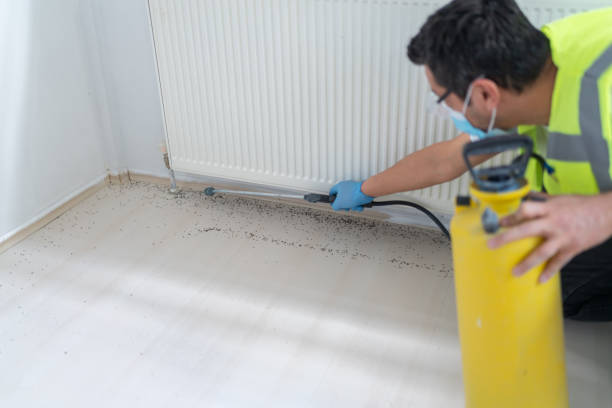 Best Pest Prevention Services  in Brewster Hill, NY
