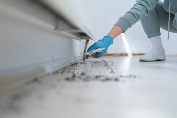 Best Affordable Pest Control Services  in Brewster Hill, NY